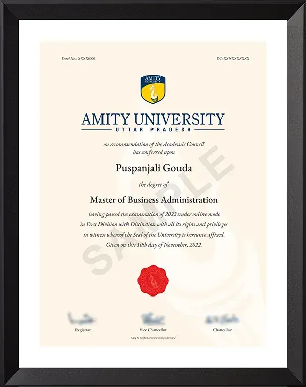 Amity University Degree Certificate